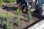 Obrzeże Plastikowe SB60 Stella Bord 6cm 1m czarne BORDER 60mm Trawnikowe Ogrodowe