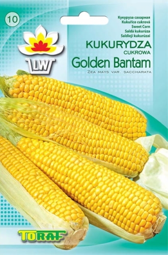 d78682d357fa64746f7a44d3e53f40a2