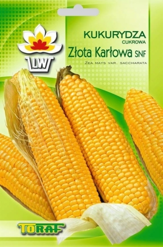 22903083ccdfb9c7ab30d7fab95ab544