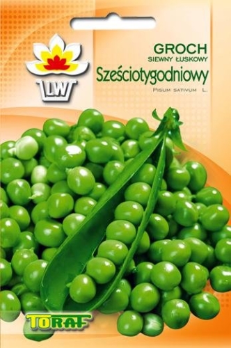 a7e3608df38136c5a3b1529bcaa7cb85