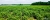 fd851f20d4216817a2dacde337f48d32