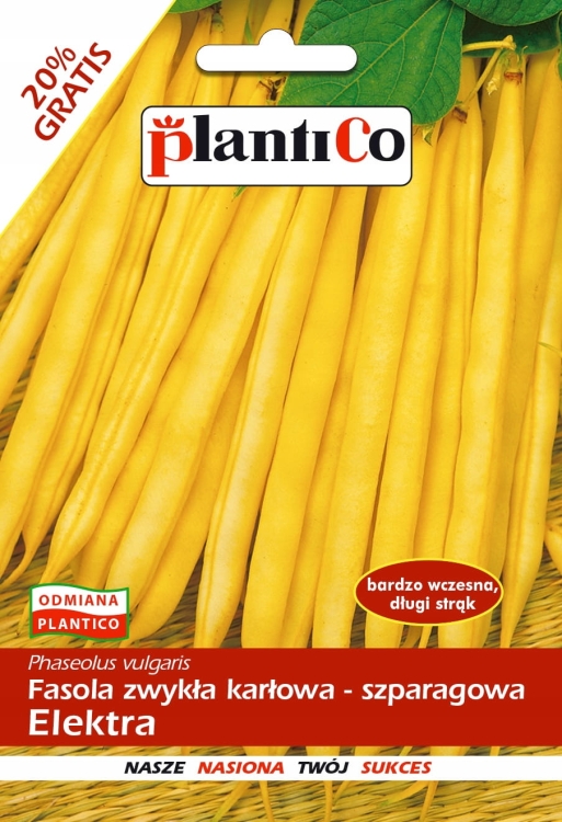 253f924da8246c2f528bb72803eafbcc