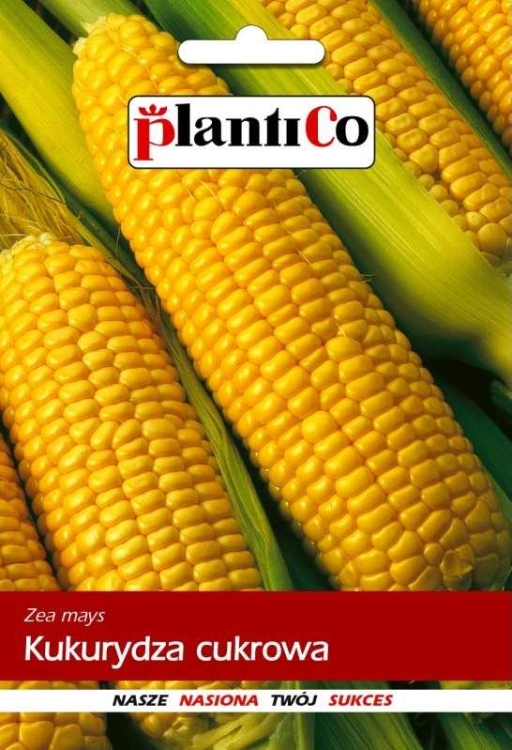 c83f99cf7f4701005787356a841a4594