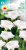 acd4eab25f8ec8443231764ab6e9b6c2