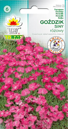09cdb1630f8a753f28c88a4569856ae4