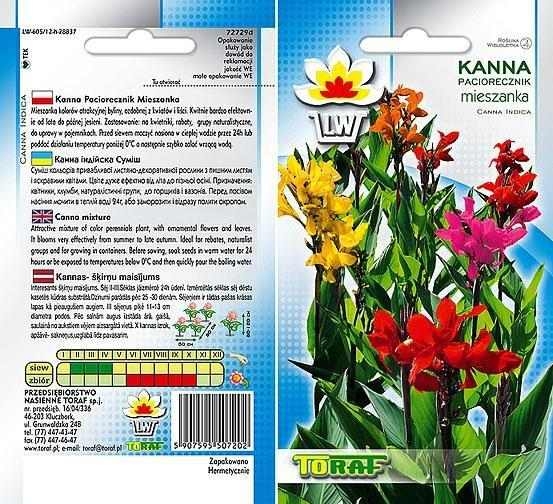 25f509385de5a7ea6494501998095125