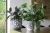 b8c015476a320d421519d9d1606d1bb6