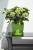 2922e09ae9146fc5e3a8c4af19b4a384