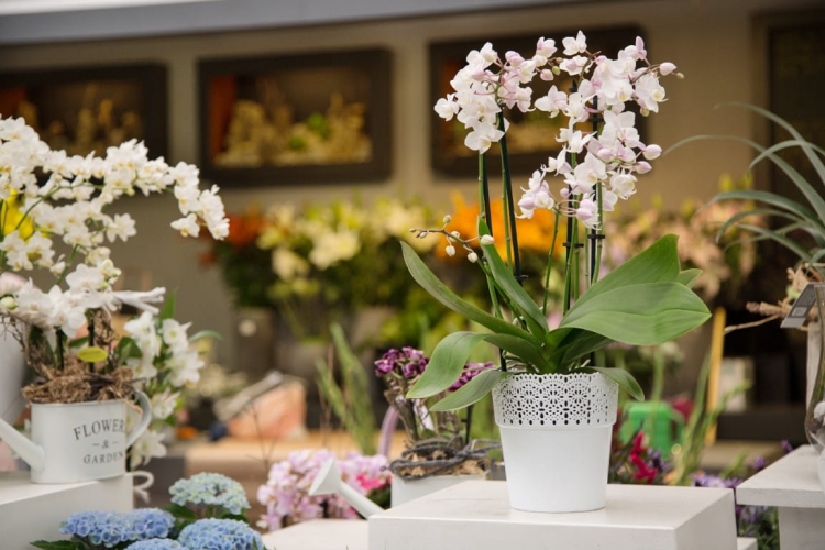 e09c1f5972827bf9fa7ecec41a9926e7