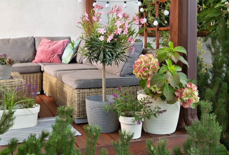 abc731d5f711e08e9a1968db82a5b061