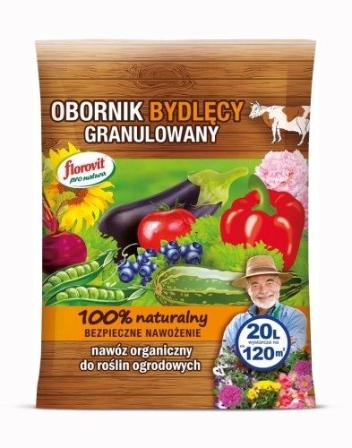 c31a935edf3088c6e4cccbaea8a40b97