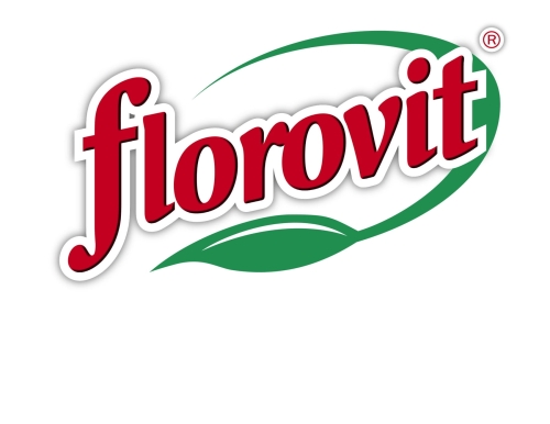 042bcf17522451d5d2e0fe3afd7d36d6