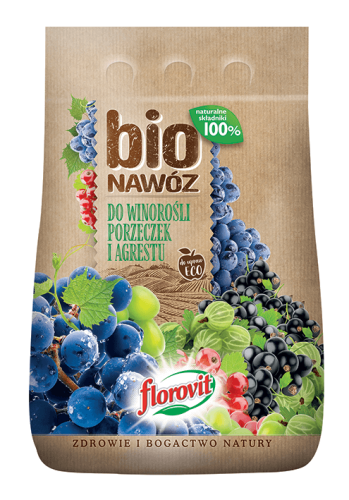 e2e09df0f69414fe71431e221fac2660