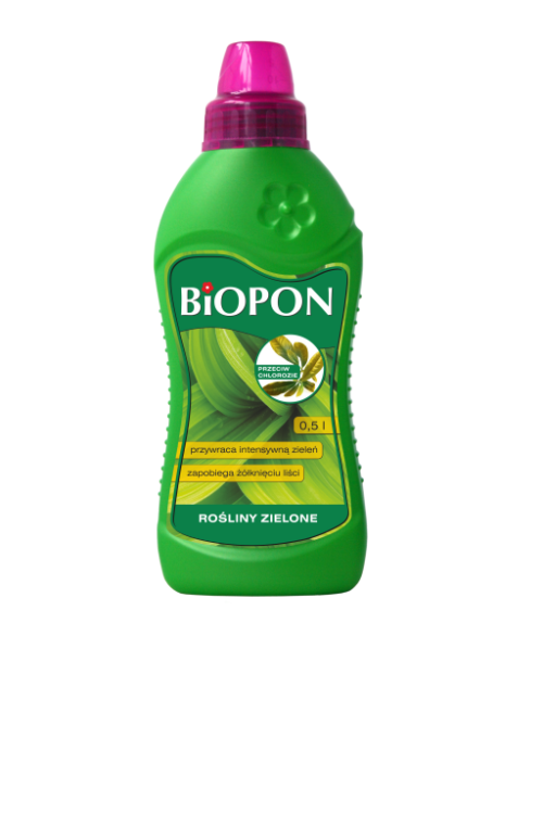c6e616a1717324a1f2ae8c3f07e035d7