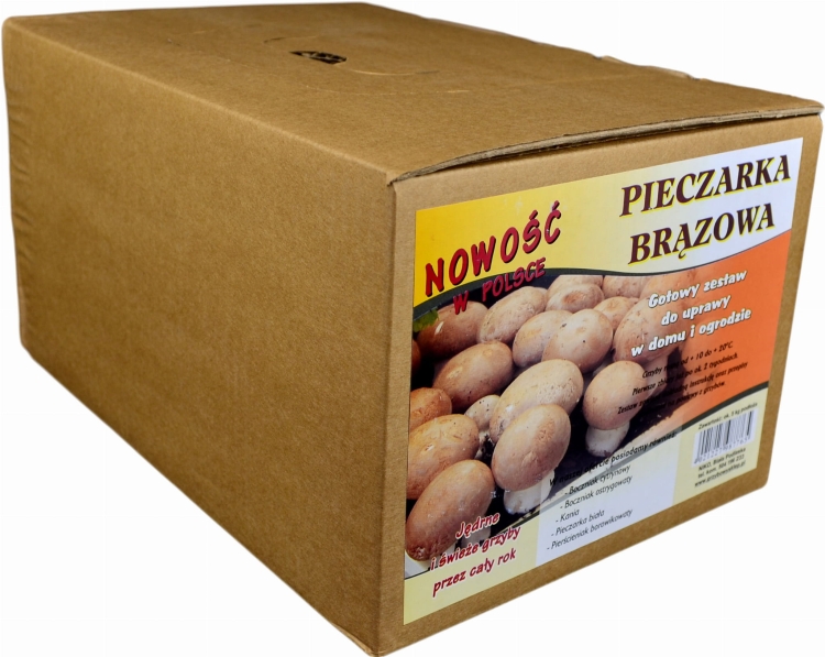 Pieczarka Brązowa Grzybnia 5kg Gotowe Podłoże Pieczarki Brązowej Grzyby w Domu i Ogrodzie