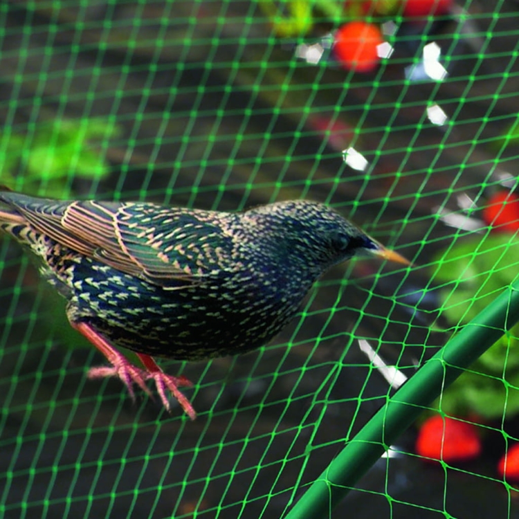 Siatka Przeciw Ptakom na Ptaki 8x10m BIRDNET