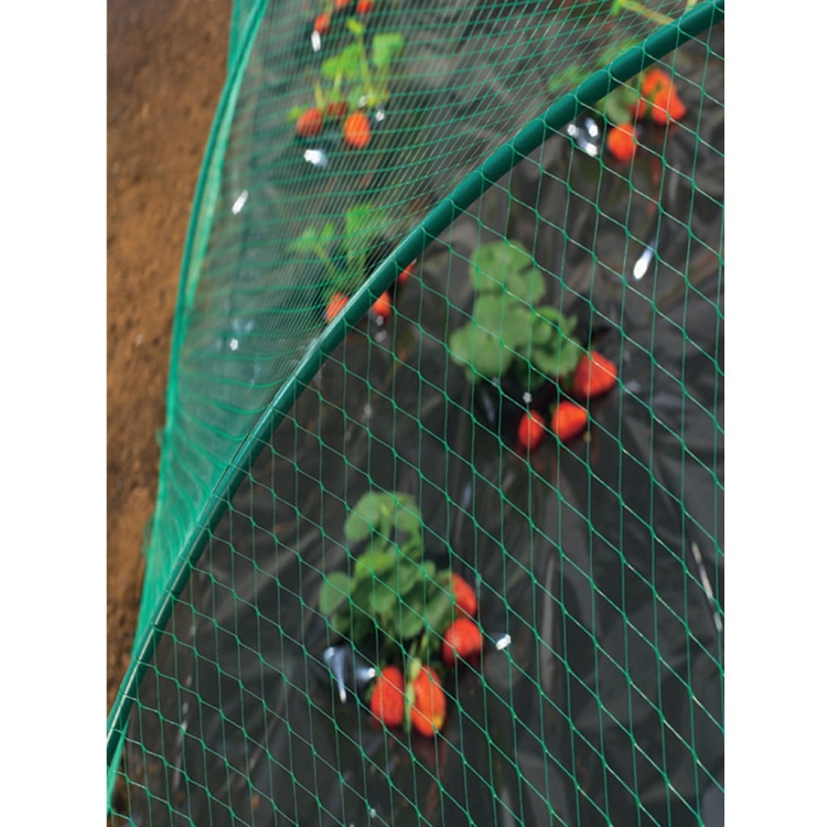 Siatka Przeciw Ptakom na Ptaki 4x10m BIRDNET