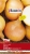 a9997f5ef7a765bddcae8c2bb7d36b4f