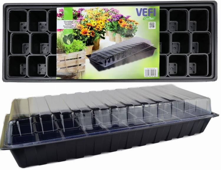 vefi_ms2_1_semer2.jpg