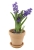 DEGREA Doniczka Ceramiczna Terakota VASO ARENA D17 cm + Podstawek D15 cm
