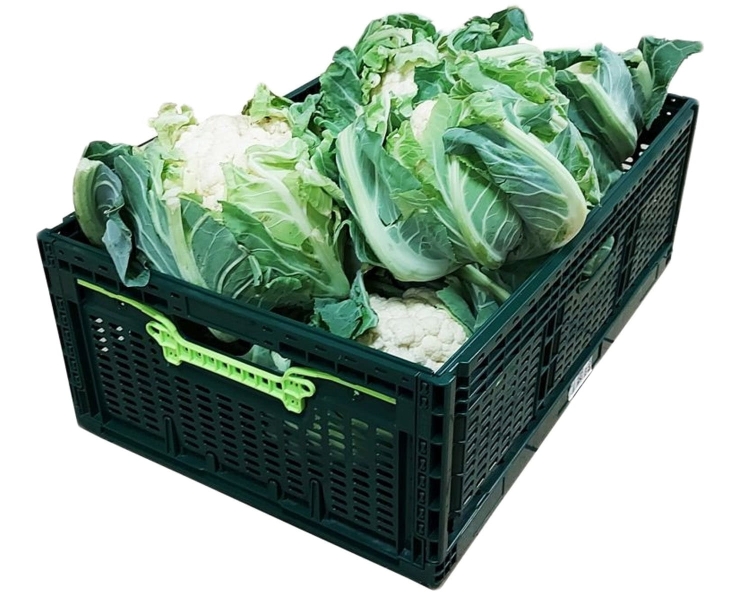 Skrzynka Składana 46L 600x400x219mm Zielona