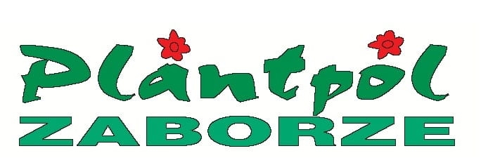 81c861f4a2681587e4b859ac731ea64e