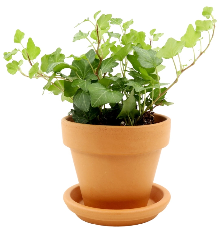 DEGREA Doniczka VASO D11 Ceramiczna Terakota 11cm