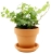 DEGREA Doniczka Ceramiczna Terakota VASO D11 cm + Podstawek D11 cm