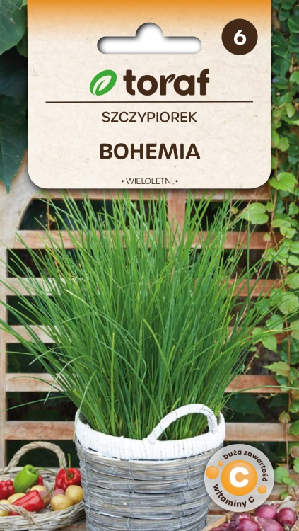NEW-LOGO-Szczypiorek-BOHEMIA-.jpg