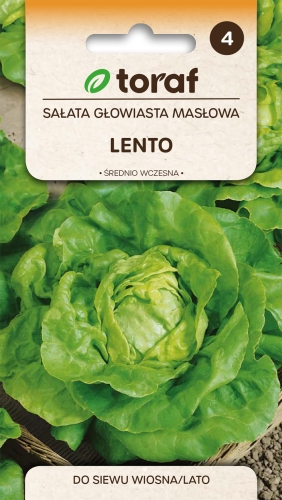 NEW-LOGO-Salata-glowiasta-maslowa-LENTO.jpg