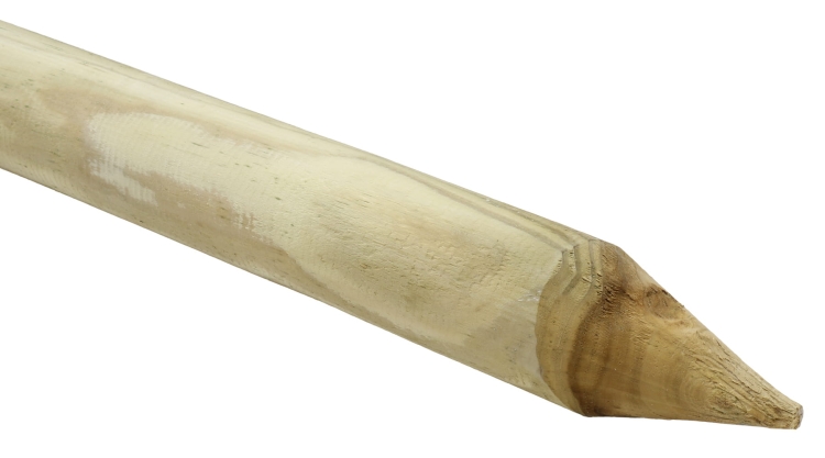 Palik Sosnowy Tyczka Magus 6x180cm Nortene