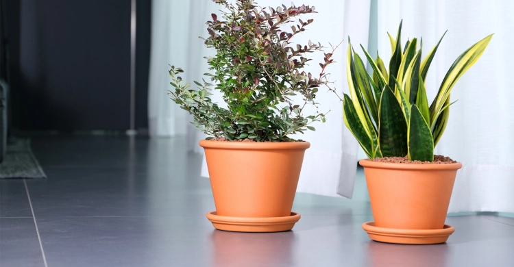 DEGREA Doniczka Włoska VASO CILINDRO D18 Ceramiczna Terakota Prosta 18cm