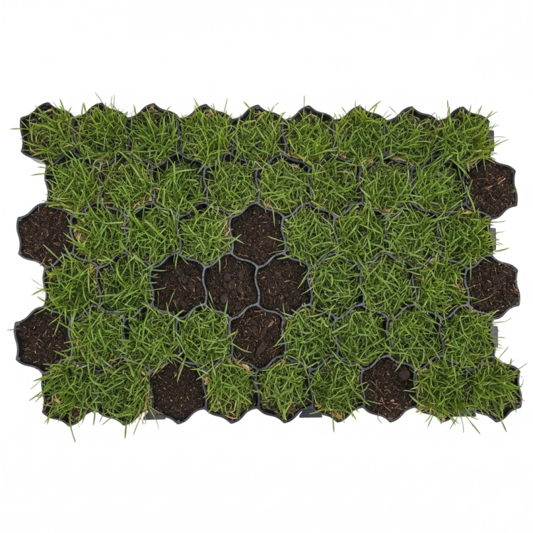 kratka_parkingowa_pa40xb_60x40x4_semer_grid_wypelnienie1.png