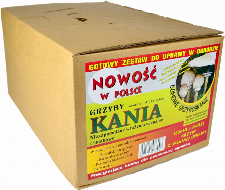 Grzybnia Kania Grzyby Gotowe Podłoże Sowa Czubajka 3kg