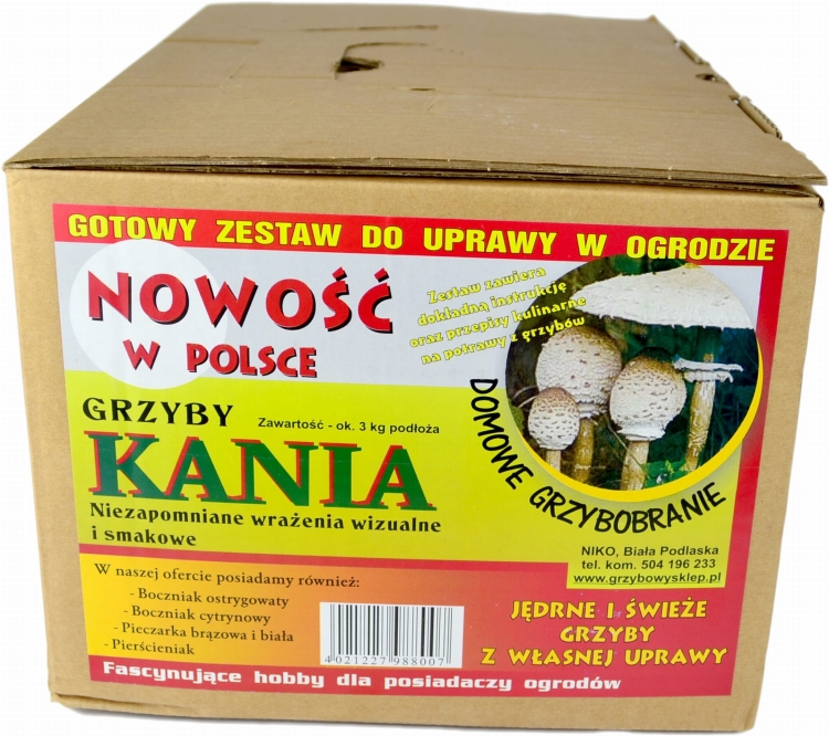 Grzybnia Kania Grzyby Gotowe Podłoże Sowa Czubajka 3kg
