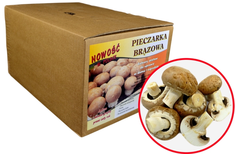 Pieczarka Brązowa Grzybnia 5kg Gotowe Podłoże Pieczarki Brązowej Grzyby w Domu i Ogrodzie