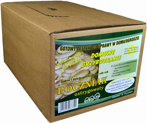 Boczniak Ostrygowaty Grzybnia Boczniaka Gotowe Podłoże 3kg