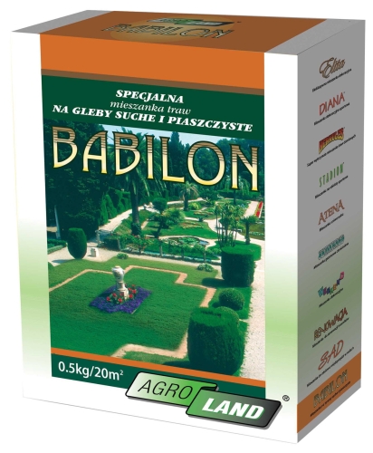 AgroLand Trawa Babilon na Gleby Suche 0,5kg 20m2
