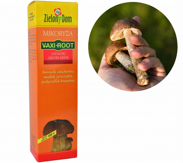 Jadalne Grzyby Leśne Szczepionka Mikoryzowa 250ml