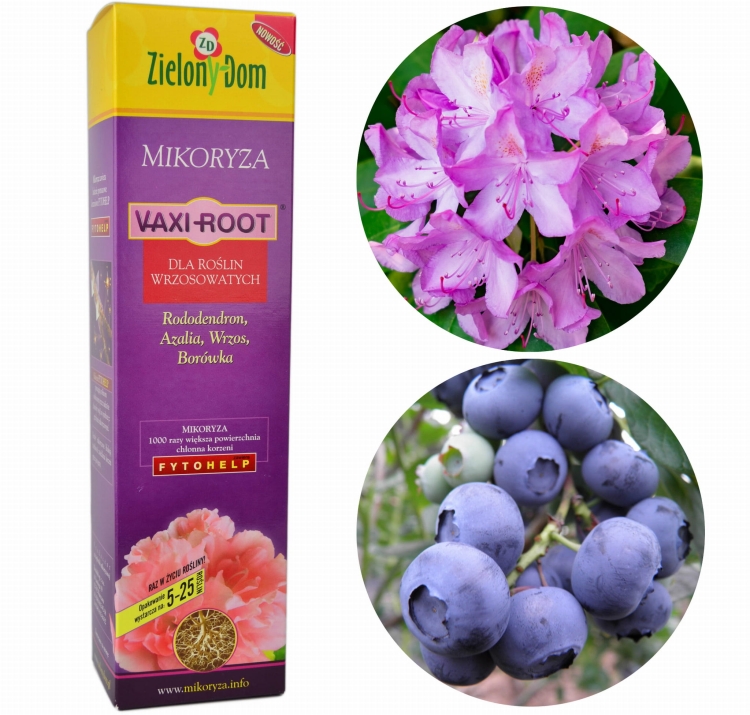 Mikoryza do Wrzosowatych Borówek Rododendronów Azalii Zielony Dom Vaxi Root