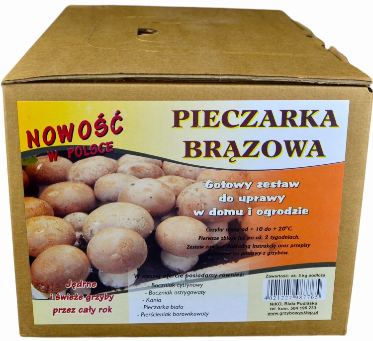 Pieczarka Brązowa Grzybnia 5kg Gotowe Podłoże Pieczarki Brązowej Grzyby w Domu i Ogrodzie