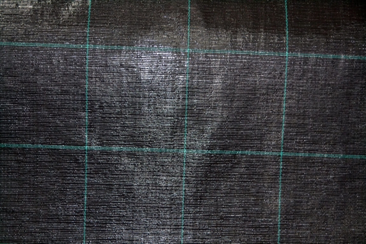 Agrotkanina tkanina ściółkująca 100g szer. 80cm