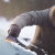 fiskars_skrobaczka_do_szyb_143063_7_semer.jpg
