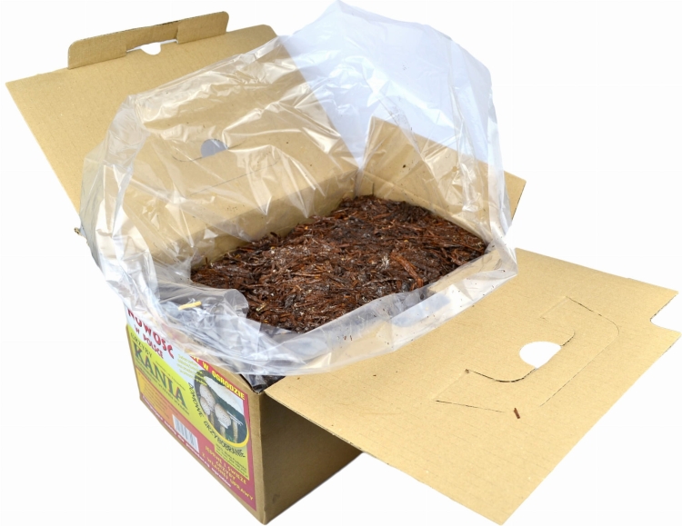 Grzybnia Kania Grzyby Gotowe Podłoże Sowa Czubajka 3kg