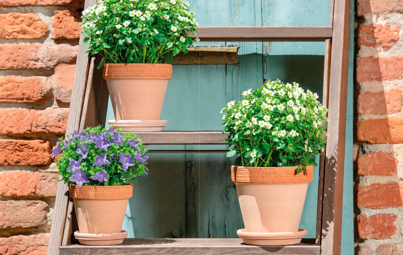 Donice ceramiczne na taras i balkon – Zalety naturalnych rozwiązań