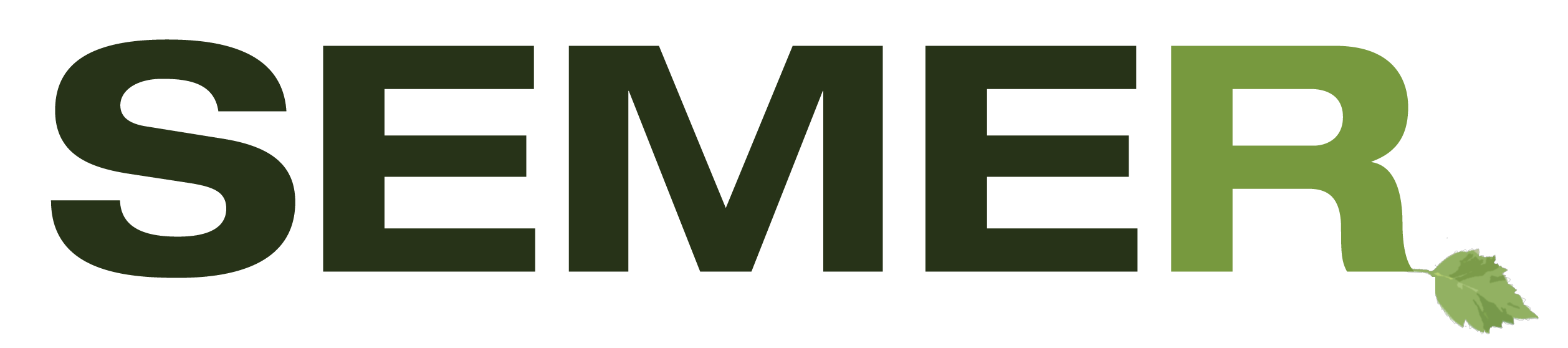 Producent: SEMER (przejdź do produktów)