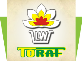 Producent: Toraf (przejdź do produktów)